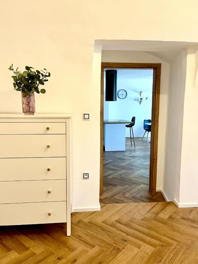 Apartman Elen Нове-Место-над-Метуйи Экстерьер фото
